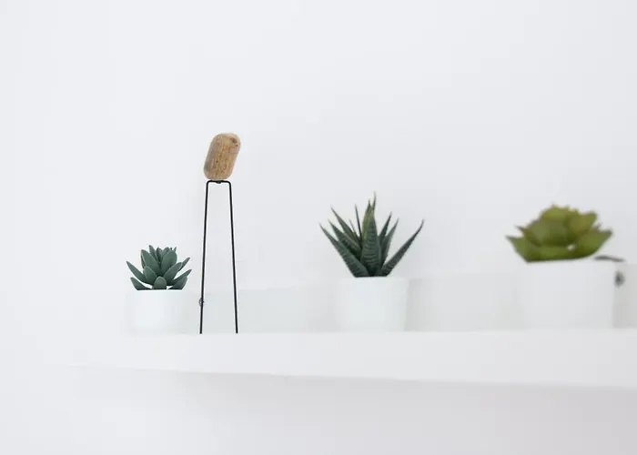 Josef's I Tiny Bird I Uno-city